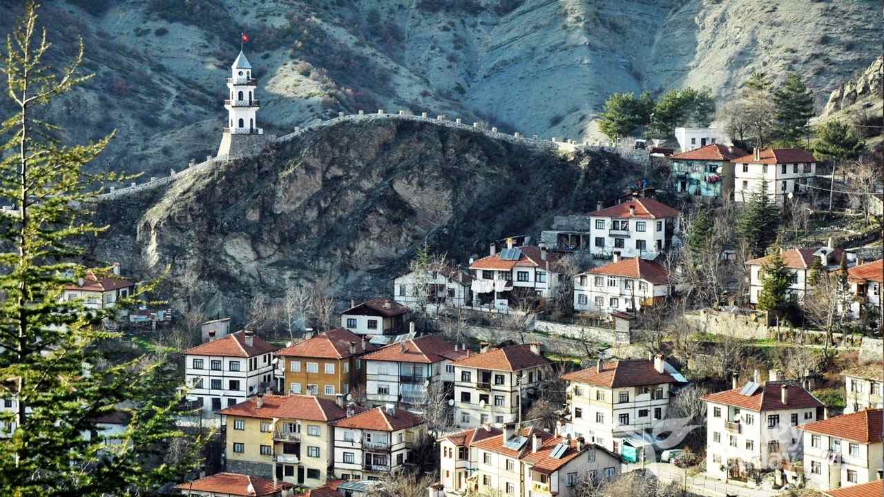 bolu