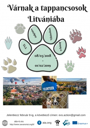 Litv&aacute;ni&aacute;ba keres&uuml;nk EVS &ouml;nk&eacute;ntest