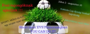Foci rajong&oacute;knak aj&aacute;nljuk &ndash; short EVS Finnorsz&aacute;gban YOU CAN DO IT!
