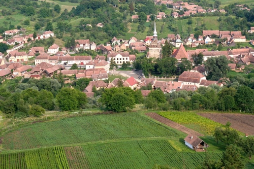 Turism rural - o idee sustenabilă pentru tine, comunitățile rurale și pentru mediu!